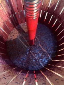 F982ACA8-E535-4551-A048-07B99425D232